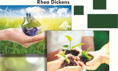 笔管鱼的营养价值网 :分享笔管鱼的营养价值及功效-笔管鱼的营养价值和功效知识